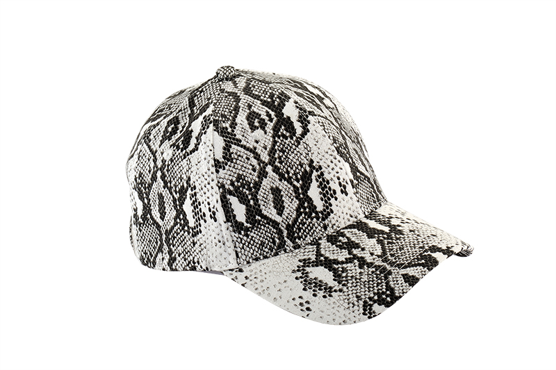 银川棒球帽FDR_8891